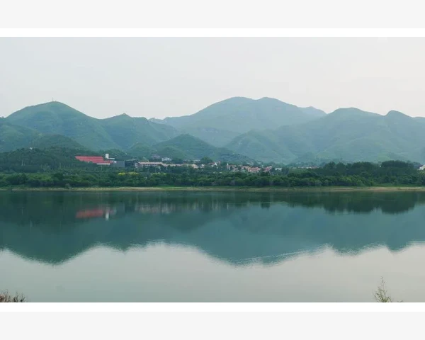 中医治疗脾胃肠道紊乱的妙法